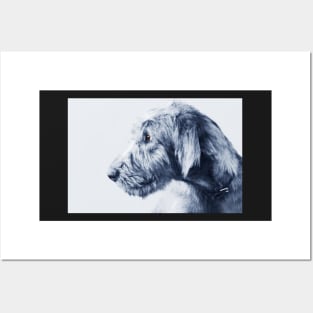 Wolfhound Pup Posters and Art